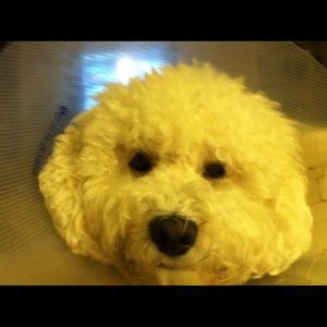 Meet your Posher, Debra